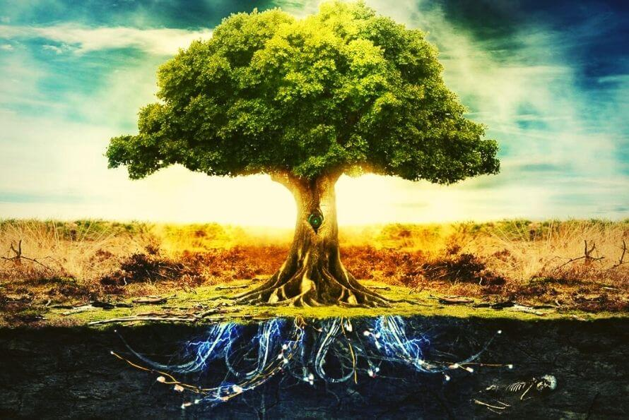 arbre de vie